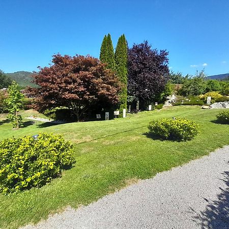 Chalet De Grettery Saulxures-sur-Moselotte エクステリア 写真
