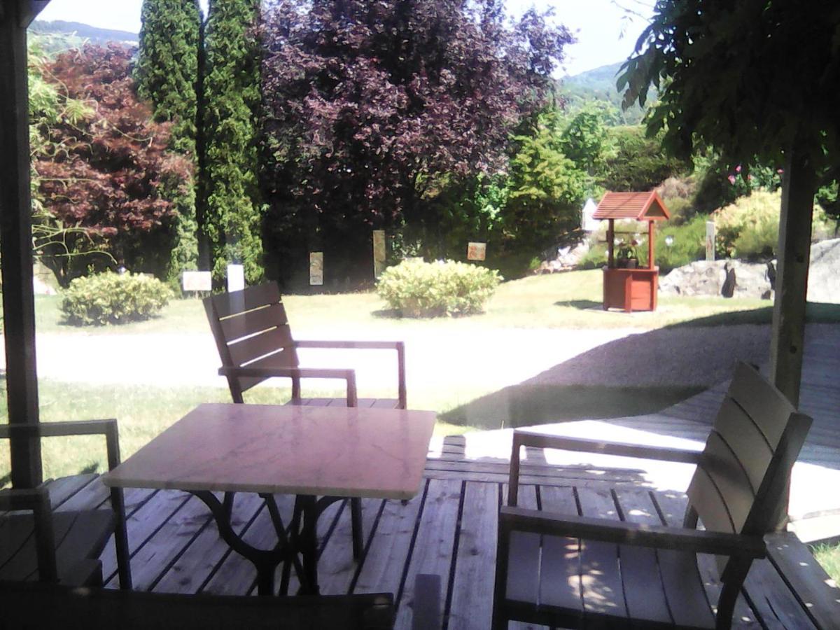 Chalet De Grettery Saulxures-sur-Moselotte エクステリア 写真