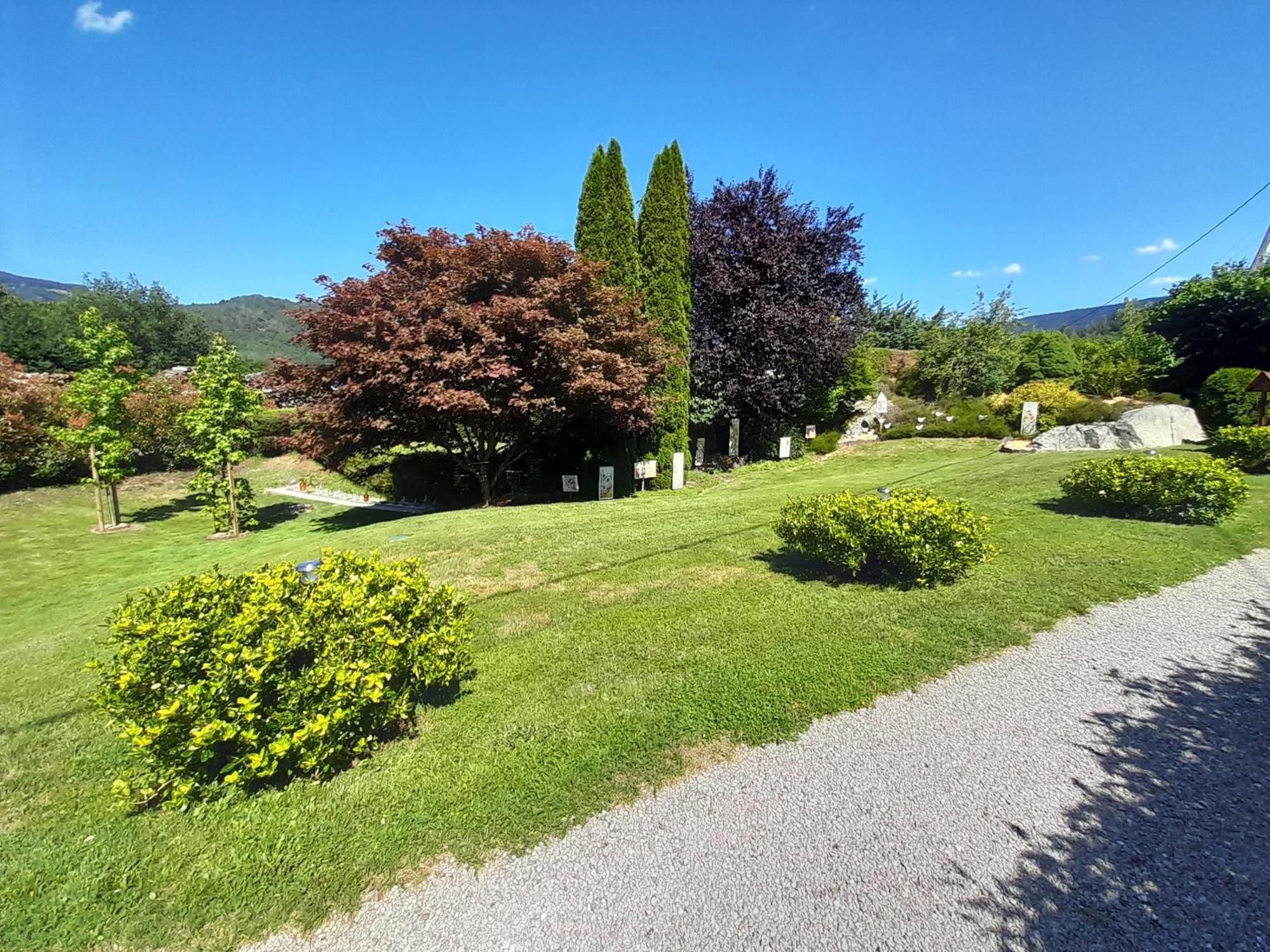Chalet De Grettery Saulxures-sur-Moselotte エクステリア 写真