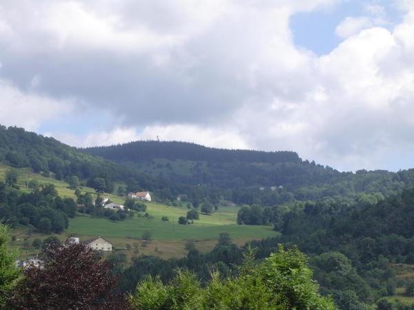 Chalet De Grettery Saulxures-sur-Moselotte エクステリア 写真